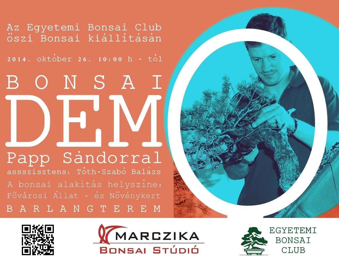 papp sandor bonsai alakitasi bemutato az egyetemi bonsai club bonsai kialitasan